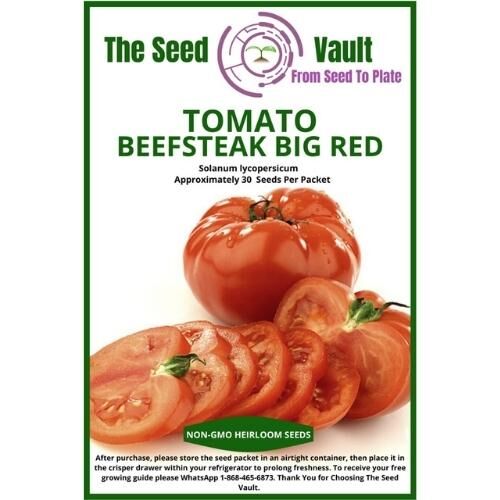 Tomato Beefsteak Big Red - Ah Grow